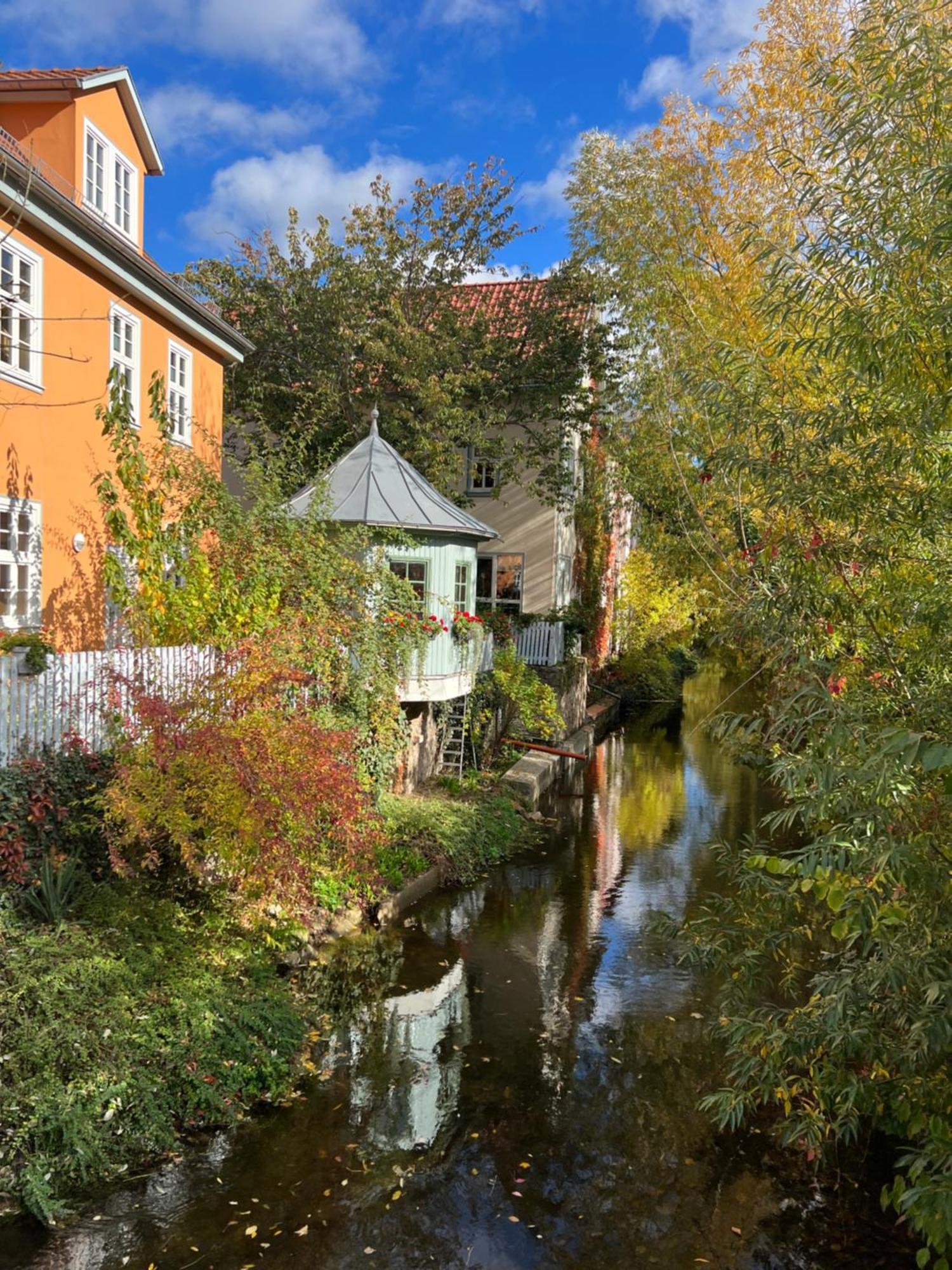 Ferienwohnung Schildblick Modernes Apartment Direkt In Der Altstadt Von Erfurt Nahe Der Kraemerbruecke - Beste Innenstadtlage Zewnętrze zdjęcie